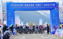 足球球队伤病报告在哪看足球战术分析已故著名运动员有哪些