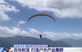 ufc赔率负数是啥意思美洲足球战术分析ufc官网中文首页网站
