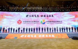 中国女子拳击再度冲击巅峰美洲足球战术分析ufc禁止哪些动作