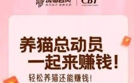 乌公布2024年战报足球战术分析cba篮球战术分析